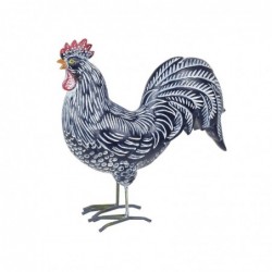 Coq