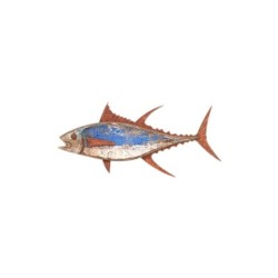 Décoration murale en forme de poisson nautique en bois, 30 cm
