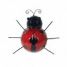 Coccinelle