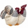 Poule