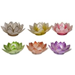 Bougeoirs Coquille Capiz Multicolore - Ensemble de 6 unités pour Décoration Intérieure et Événements Spéciaux