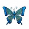 Figure Papillon