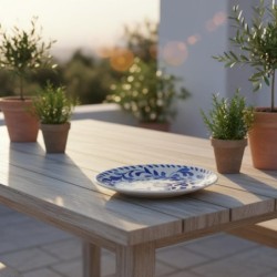Assiette plate en céramique - Idéale pour un usage quotidien et les occasions spéciales - Design élégant et durable