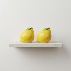 Salière et poivrière en céramique motif citron, décoration de cuisine originale, cadeau créatif, accessoire de table moderne