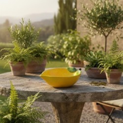 Bol décoratif en céramique Limonissimo Design pour la cuisine et la salle à manger, idéal pour les fruits, les collations