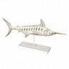 Figure Fish avec MDF blanc | Figure marine figure marine figures 26x8x52cm