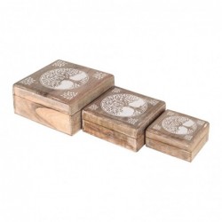 Origin Home Decor - Boxes Life Life Pack 3 unités Décoration | Blowers et bijoutiers - 8x18x18 cm