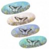 Origine de décoration intérieure - plaque de papillon ovale pack 4 unités décoration | Plateaux multicolores - 3x13x35 cm