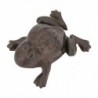 ORIGEN Home Decor Rana Animal Figure | Figure animale brune - 5x11x8cm