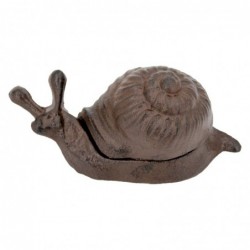 ORIGEN Home Decor Caracol...