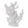 ORIGIN Home Decor Marin Corail | Figurine Décorative en Résine Blanche - 24x19x8cm