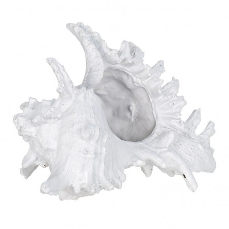 ORIGIN Home Decor Coquille de marin | Figurine Décorative Blanche - 12x20x17cm