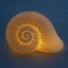 ORIGIN Home Decor Shell Lampes LED | Figurine Marin Écru - 16x20x12cm