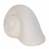 ORIGIN Home Decor Shell Lampes LED | Figurine Marin Écru - 16x20x12cm