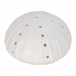 ORIGIN Home Decor Lampes LED Anémone | Figurine Ovale de Marin Blanc - 7x12x12cm