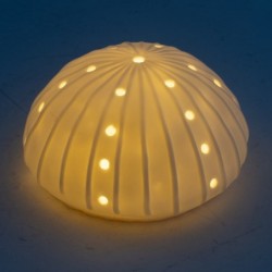 ORIGIN Home Decor Lampes LED Anémone | Figurine Ovale de Marin Blanc - 7x12x12cm