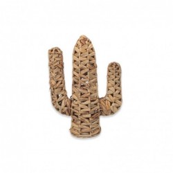 ORIGIN Home Decor Cactus...