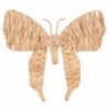 ORIGEN Home Decor Papillon Décoration Murale Photos | Figurine Papillon Marron - 40x43x2cm