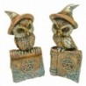 ORIGIN Home Decor Hibou sur Livre 2U Hiboux | Figurine Chouette Marron - 13x6x6cm