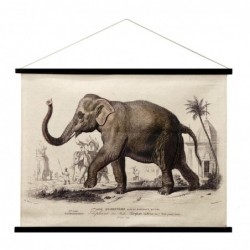 ORIGEN Home Decor Toile enroulable Éléphant Rectangulaire Ecru Photos 75x100x2cm