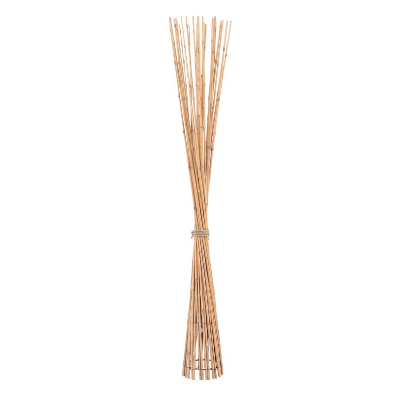 Branche de Bambou Décorative - Élément Naturel pour la Décoration de la Maison