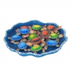 Pack de 12 tortues bleues...