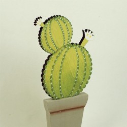 Cactus en fleurs Diverses figures