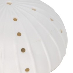 ORIGIN Home Decor Lampes LED Anémone | Figurine Ovale de Marin Blanc - 7x12x12cm